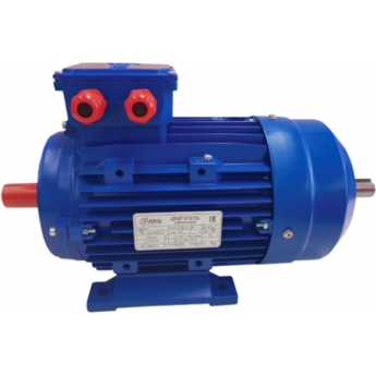 АИР 100L8 Общепромышленный электродвигатель ENERAL 5 74