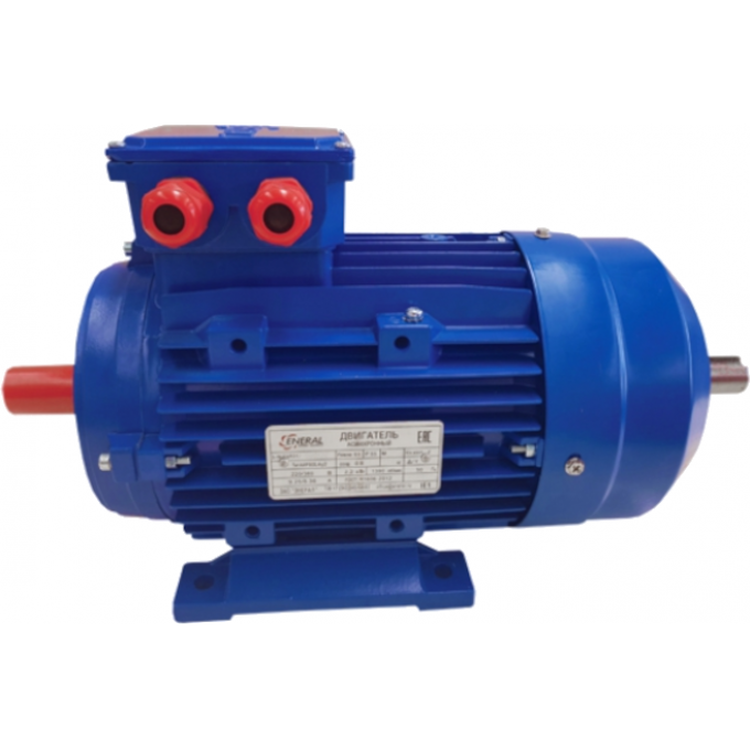 АИР 100L8 Общепромышленный электродвигатель ENERAL 5 74 AIP-100L8